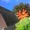 Le California - Biarritz