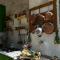 Lucys guest house Amalfi coast