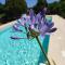 Contrada Macchia B&B