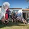 Da Silva Surf Lodge Six