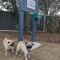 Swan Bay Holiday Park