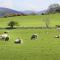 Hafod