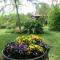 B&B Lieti Colli