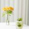 Bourbon Hotel & Suites Curitiba