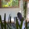 Casa Caravan - Plant Based Concept House