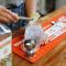 Casa Caravan - Plant Based Concept House