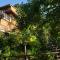 Big Tree House Lodge