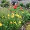 Wild Flower Cottage
