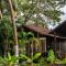 The Exotica Agonda
