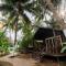 The Exotica Agonda