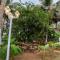 The Exotica Agonda