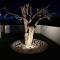 Theo luxury Napa villa