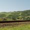 Casa do Carril - Private Pool - Douro Valley