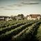 MALAT Weingut und Hotel - Furth