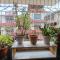 Amazing Homestay