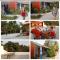 CAMPAMENTO CHEZ CAMPOS