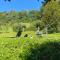 Spacious nest between Maribor and Celje NiceHead