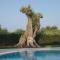 LUlivo Bed and Breakfast