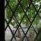 LUlivo Bed and Breakfast
