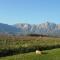 Seven Oaks Vineyard Cottages