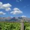 Seven Oaks Vineyard Cottages