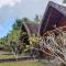 The Sweet Corn Bungalow
