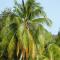 Village vacances Sainte LUCE studio ANTIGUA 4