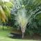 Village vacances Sainte LUCE studio ANTIGUA 4