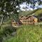 Chalet 3 chambres avec spa et piscine, pied des pistes - FR-1-461-25