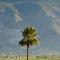 Finca Bellas Vistas