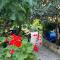Apartments Mornar