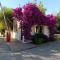 Apartamentos Camping El Palmar