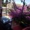 Apartment Nevenka