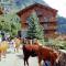 Chalet Bouquetin- Cerf