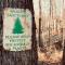 Peaceful Hideaway Treehouse near Little River Canyon