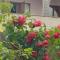 Green Dilijan B&B