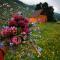 Kazbegi Mountain Cottage MTA-Shi