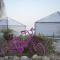 TRANQUILO - Dead Sea Glamping