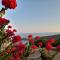 Wide sea Maisonette