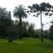 Las Carolinas Garden