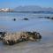Bradclin Beach Blouberg