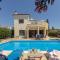 Villa Tsikkos Dio