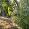 Eco House