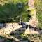 Villa Amaltea Exclusive