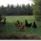 Conways B&B