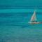Pearl Beach by Sansi