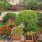 Apartman Ruza