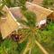 Dar Beach House - Michamvi