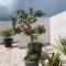 Plataview Apartahotel apt 3A