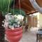 Amaryllis Hotel